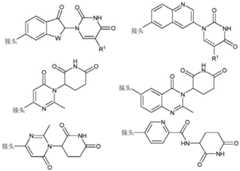 Figure BDA0003027048450001081