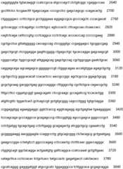 Figure IDA0002935257620000371