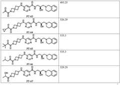 Figure BDA0002854352890000311