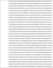 Figure imgf000393_0001