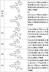 Figure BDA0001702803240001011