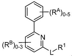 Figure imgf000010_0001