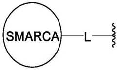 Figure FDA0003783300820000283