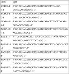 Figure BDA0002941617010000101