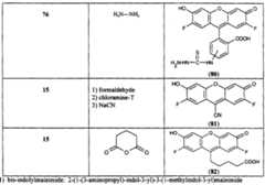 Figure imgf000046_0001
