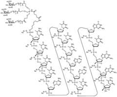 Figure BDA0002976854330000221