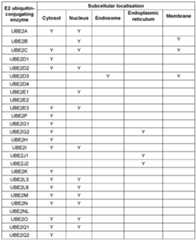 Figure imgf000088_0002