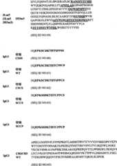 Figure BPA00001431277700541