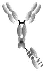 Figure imgf000211_0001