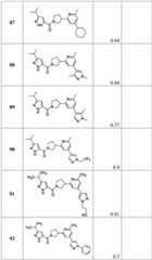 Figure BDA0001316473010001791