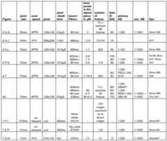 Figure imgf000024_0001