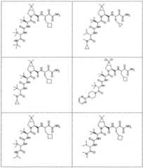 Figure imgf000217_0001