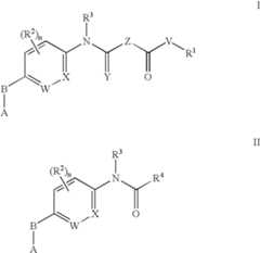 Figure US07459562-20081202-C00002