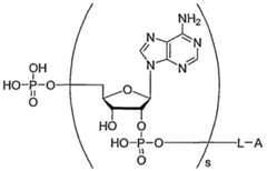 Figure imgf000157_0001