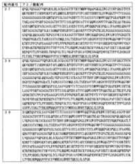 Figure JPOXMLDOC01-appb-T000006
