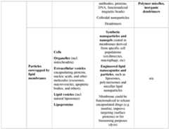 Figure imgf000020_0004