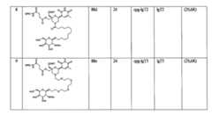 Figure 0007417529000078