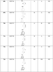 Figure imgf000300_0001