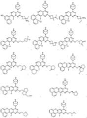 Figure imgf000856_0001