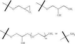 Figure US07463358-20081209-C00002