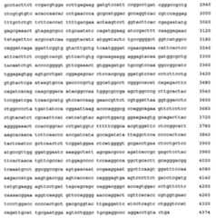 Figure 108128641-A0202-12-0281-653