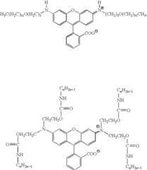 Figure US07732625-20100608-C00205