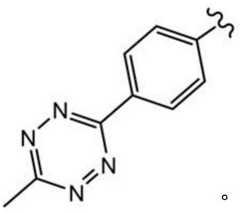 Figure BDA0003670511740002055