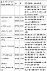 Figure BDA0001349734580001551