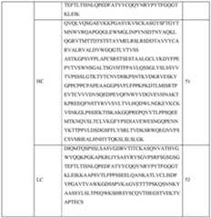 Figure imgf000115_0001