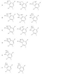 Figure 0007174143000017