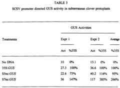 Figure imgf000024_0001