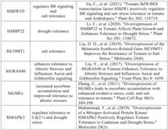 Figure PCTCN2022090268-appb-000104