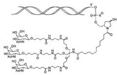 Figure 107123784-A0305-02-0236-5