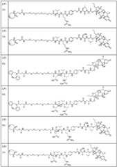 Figure BDA0002889616220001971