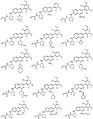 Figure GPA0000263212130000371