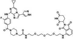 Figure BDA0002964098100001332