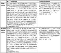 Figure imgf000057_0001