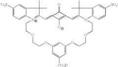 Figure US06403807-20020611-C00042