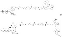 Figure BDA0003670511740002471