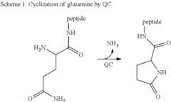 Figure US08541596-20130924-C00001