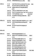 Figure BSA0000176163890000391