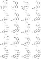 Figure FDA0001964607630000291