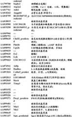 Figure BDA0000057170160001541