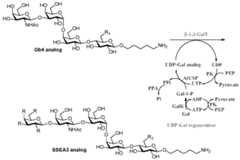 Figure imgf000144_0001