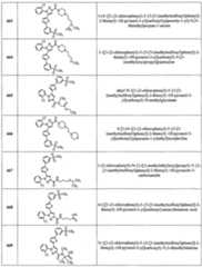 Figure imgf000363_0001