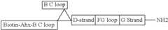 Figure US08907053-20141209-C00071