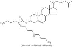 Figure US06383814-20020507-C00011