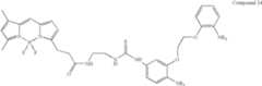 Figure US07102005-20060905-C00030