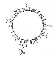 Figure GPA00001131284800531