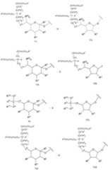 Figure 112009026250918-PCT00106